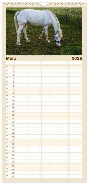 Produktbild: Familienplaner 2026 - Pferde - kraftvolle Eleganz mit 5 Spalten (Wandkalender, 21 x 45 cm) CALVENDO