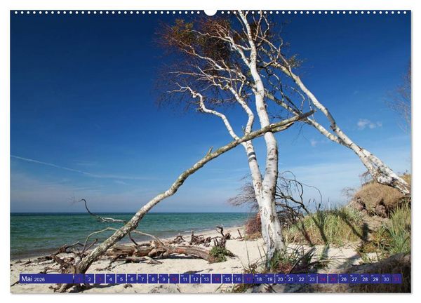 Produktbild: Weststrand Dar&szlig; (hochwertiger Premium Wandkalender 2026 DIN A2 quer), Kunstdruck in Hochglanz