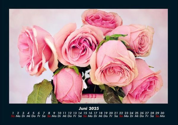Produktbild: Blumenzauber 2025 Fotokalender DIN A4