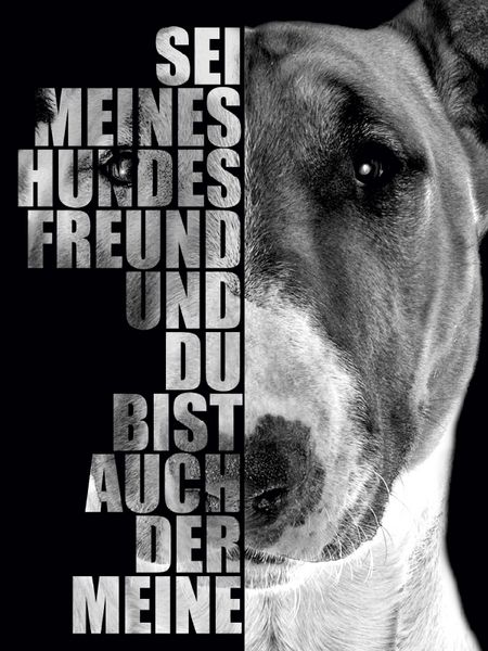 Produktbild: CALVENDO Puzzle Bullterrier 1000 Teile Puzzle hoch | 1000 Teile Lege-Gr&ouml;&szlig;e 64 &times; 48 cm Foto-Puzzle f&uuml;r gl&uuml;ckliche Stunden