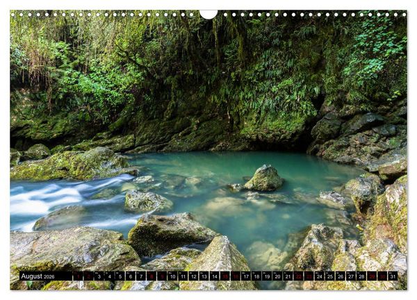 Produktbild: Waldwasser (Wandkalender 2026 DIN A3 quer), CALVENDO Monatskalender