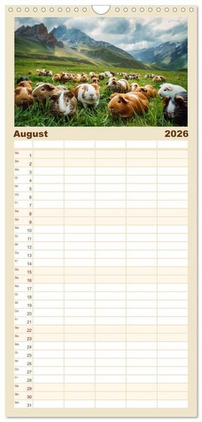 Produktbild: Familienplaner 2026 - Wuschelbande - Ein Jahr voller Meerschweinchen mit 5 Spalten (Wandkalender, 21 x 45 cm) CALVENDO