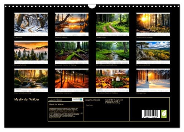 Produktbild: Mystik der W&auml;lder (Wandkalender 2026 DIN A3 quer), CALVENDO Monatskalender