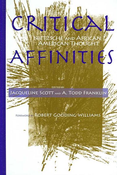 Produktbild: Critical Affinities