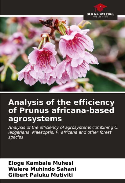 Produktbild: Analysis of the efficiency of Prunus africana-based agrosystems