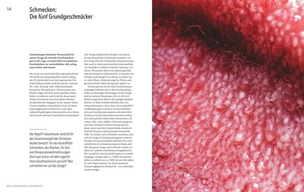 Produktbild: Abenteuer Geschmack!