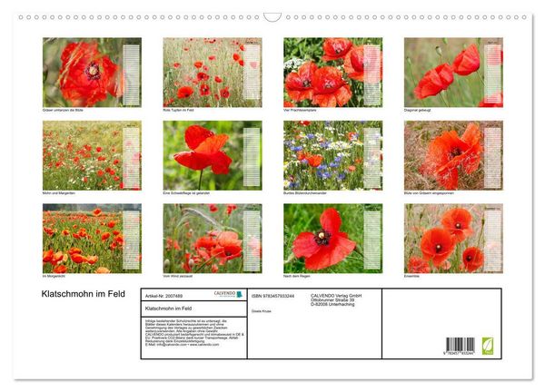 Produktbild: Klatschmohn im Feld (Wandkalender 2026 DIN A2 quer), CALVENDO Monatskalender