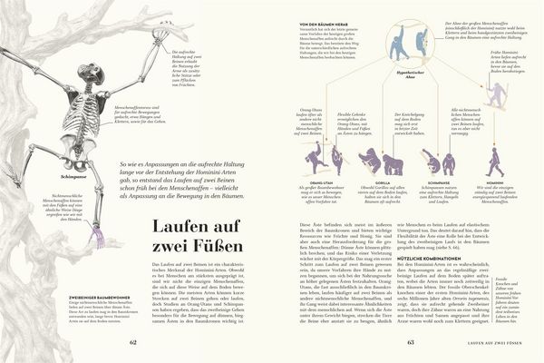 Produktbild: HUMANS. Der Mensch