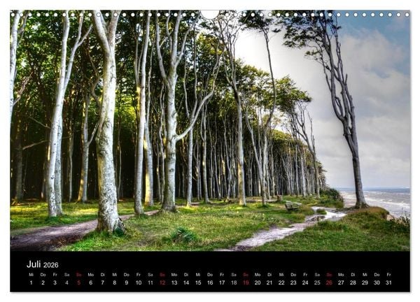 Produktbild: Baum-Variationen (Wandkalender 2026 DIN A3 quer), CALVENDO Monatskalender