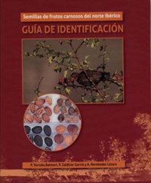 Produktbild: Semillas de frutos carnosos del Norte ib&eacute;rico : gu&iacute;a de identificaci&oacute;n