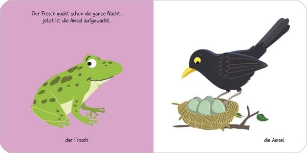 Produktbild: Kennst du das? Babys erstes Bildw&ouml;rterbuch. Jeden Tag ein neues Tier