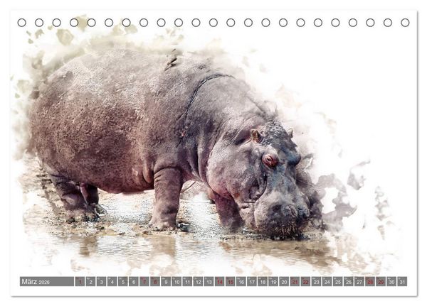 Produktbild: Tierportraits - Fine Art (Tischkalender 2026 DIN A5 quer), CALVENDO Monatskalender