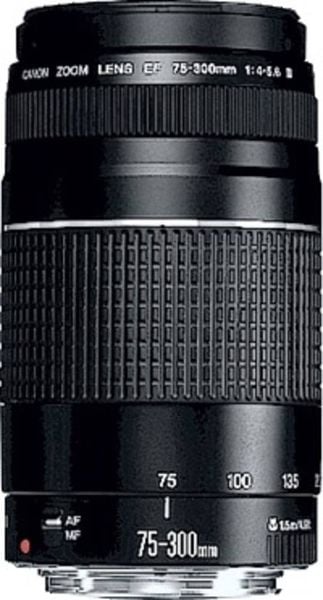 Canon EF DC 4,0-5,6/75-300 III 6473A015 Zoom-Objektiv