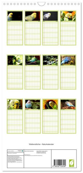 Produktbild: Familienplaner 2026 - Wellensittiche - Naturkalender mit 5 Spalten (Wandkalender, 21 x 45 cm) CALVENDO
