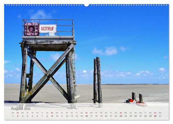 Produktbild: Salzwiesen, Schafe und Watt - Westerhever, ein Naturparadies an der Nordsee (hochwertiger Premium Wandkalender 2026 DIN A2 quer), Kunstdruck in Hochglanz