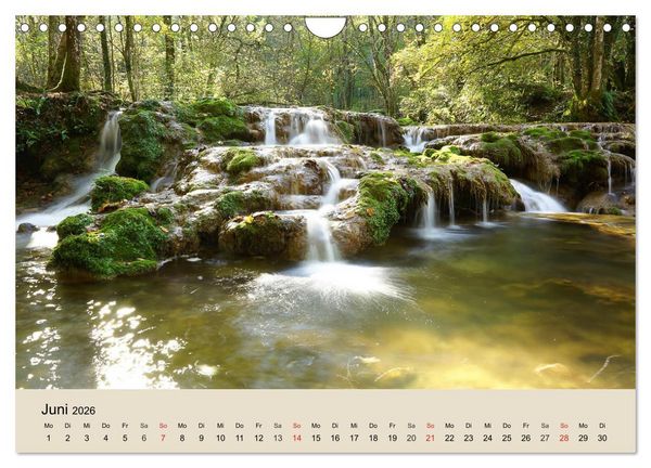 Produktbild: Der Wald. Durch zauberhafte Waldlandschaften (Wandkalender 2026 DIN A4 quer), CALVENDO Monatskalender