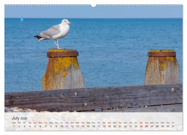 Produktbild: Eastbourne 2026 (High Quality Premium Wall Calendar 2026 DIN A2 landscape),CALVENDO 12 Month Wall Calendar