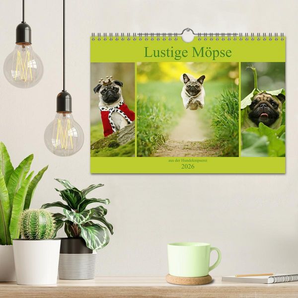 Produktbild: Lustige M&ouml;pse aus der Hundeknipserei (Wandkalender 2026 DIN A4 quer), CALVENDO Monatskalender