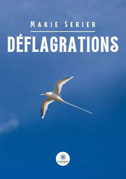 Produktbild: Serier, M: D&eacute;flagrations
