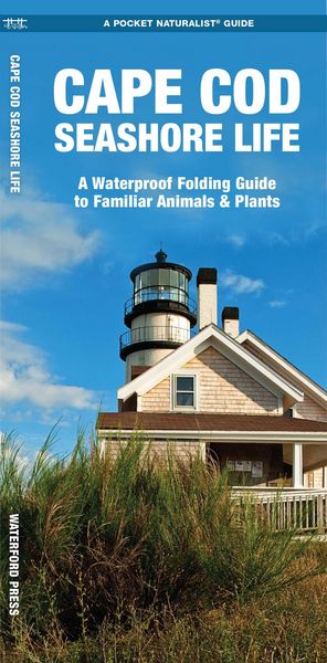 Produktbild: Cape Cod Seashore Life, 2nd Ed