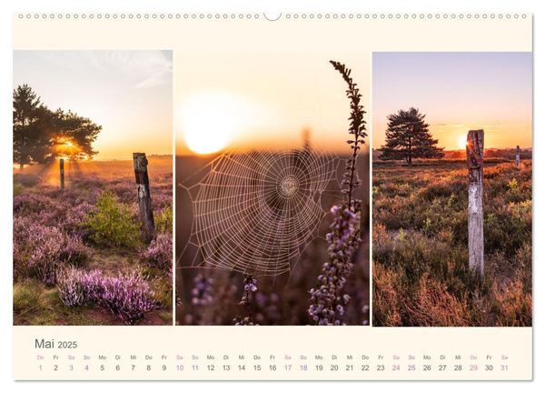 Mehlinger Heide (Wandkalender 2025 DIN A2 quer), CALVENDO Monatskalender