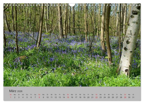 Produktbild: Impressionen von Texel (Wandkalender 2026 DIN A3 quer), CALVENDO Monatskalender