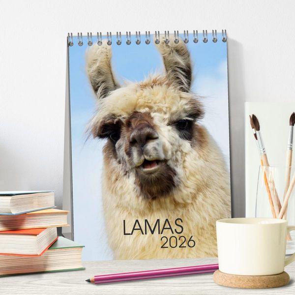 Produktbild: LAMAS (Tischkalender 2026 DIN A5 hoch), CALVENDO Monatskalender