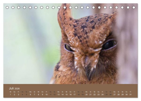 Produktbild: Madagaskars wundersame Tierwelt (Tischkalender 2026 DIN A5 quer), CALVENDO Monatskalender