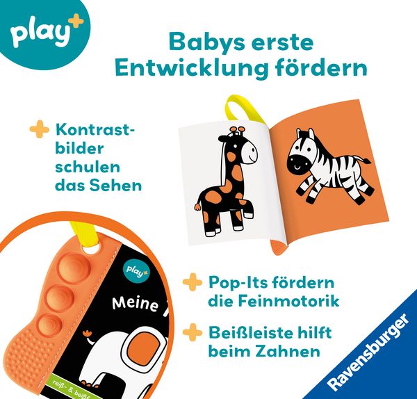 Produktbild: Play+ flip&pop Meine Tiere - ab 6 Monate
