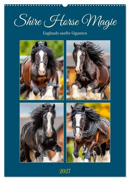 Produktbild: Shire Horse Magie. Englands sanfte Giganten (Wandkalender 2027 DIN A2 hoch), CALVENDO Monatskalender