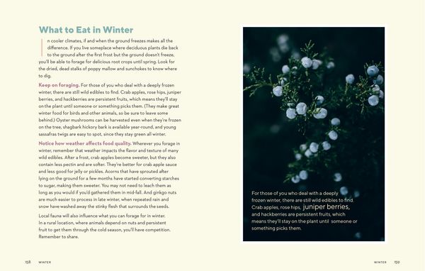 Produktbild: How to Forage for Wild Foods Without Dying Journal