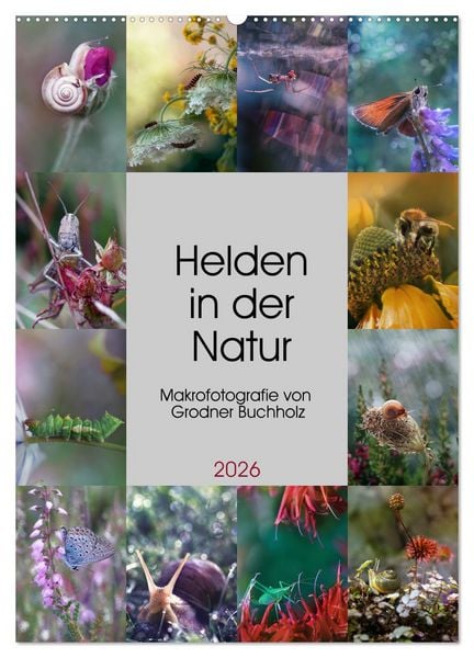 Produktbild: Helden in der Natur (Wandkalender 2026 DIN A2 hoch), CALVENDO Monatskalender