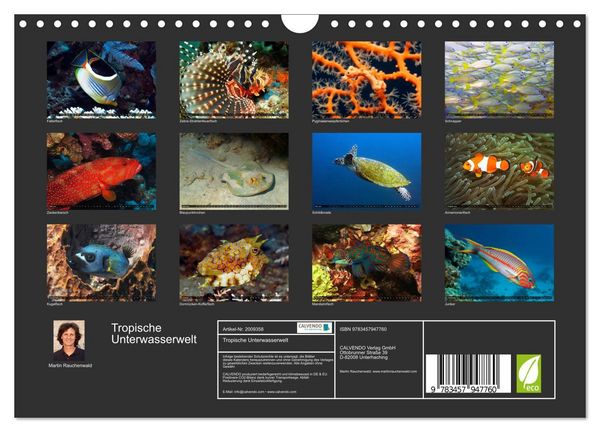 Produktbild: Tropische Unterwasserwelt (Wandkalender 2026 DIN A4 quer), CALVENDO Monatskalender