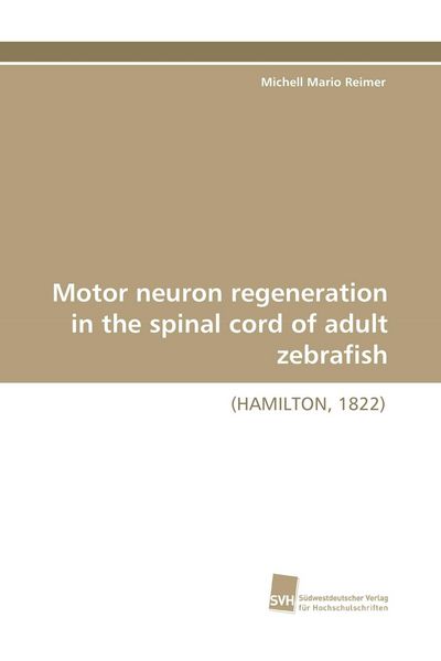 Produktbild: Motor neuron regeneration in the spinal cord of adult zebrafish