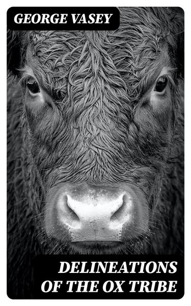 Produktbild: Delineations of the Ox Tribe