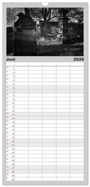 Produktbild: Familienplaner 2026 - Gothic Fantasy mit 5 Spalten (Wandkalender, 21 x 45 cm) CALVENDO