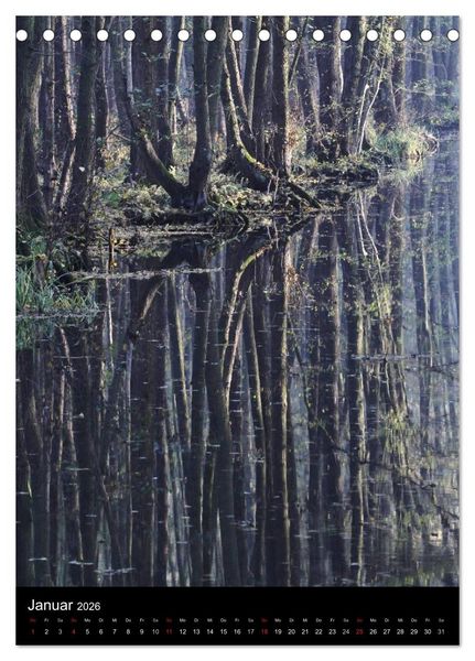 Produktbild: Wunderbarer Spreewald (Tischkalender 2026 DIN A5 hoch), CALVENDO Monatskalender