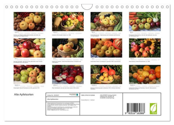 Produktbild: Alte Apfelsorten (Wandkalender 2026 DIN A4 quer), CALVENDO Monatskalender