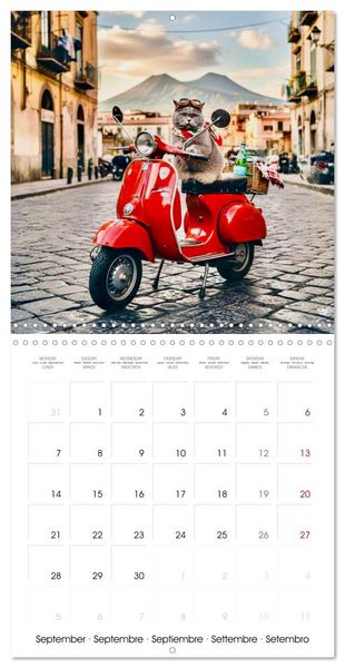 Produktbild: Le duc gris en voyage (Calendrier mural carr&eacute; 2026 30x30 cm) Calendrier double avec une page pour vos prises de notes