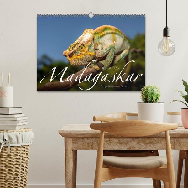Produktbild: Tierisches Madagaskar (Wandkalender 2026 DIN A3 quer), CALVENDO Monatskalender