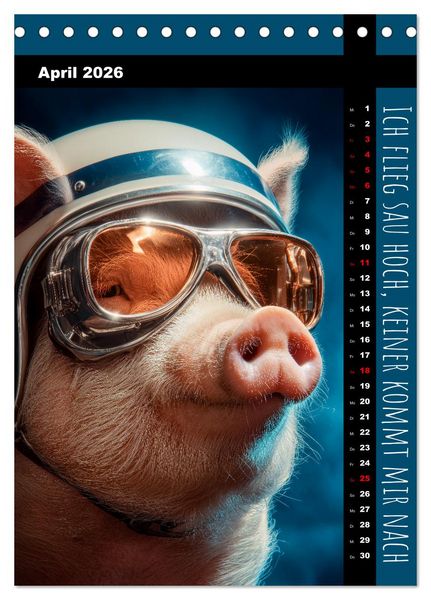 Produktbild: Coole Sau - Lustiger Spr&uuml;che Kalender mit witzigen Schweinchen (Tischkalender 2026 DIN A5 hoch), CALVENDO Monatskalender