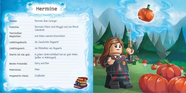 LEGO® Harry Potter™ – Meine besten Freunde