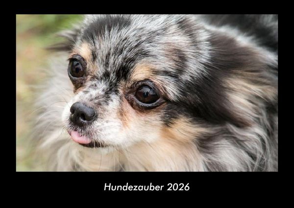 Hundezauber 2026 Fotokalender DIN A3