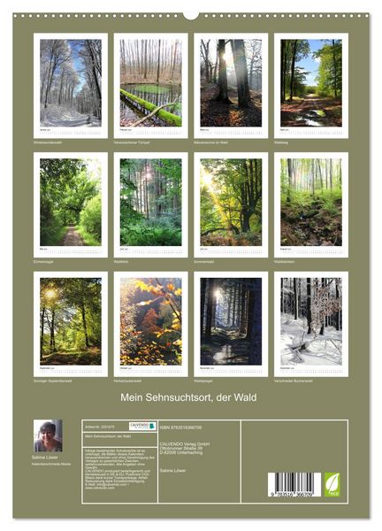 Produktbild: Mein Sehnsuchtsort, der Wald (Wandkalender 2026 DIN A2 hoch), CALVENDO Monatskalender