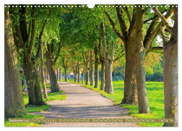 Produktbild: Vinetastadt Barth - Spaziergang durch die historische Stadt (Wandkalender 2026 DIN A3 quer), CALVENDO Monatskalender