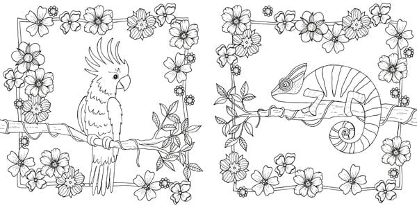 Produktbild: Tropical Flowers &ndash; Exotische Blumen- und Pflanzen-Motive ausmalen