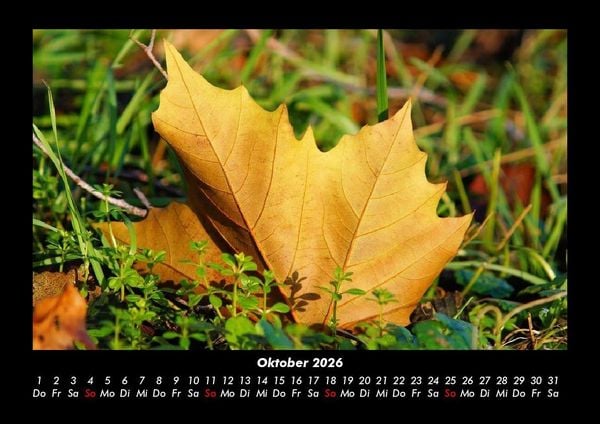 Produktbild: Waldzauber 2026 Fotokalender DIN A3