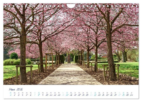 Produktbild: Traumsch&ouml;ner Taunus (Wandkalender 2026 DIN A4 quer), CALVENDO Monatskalender