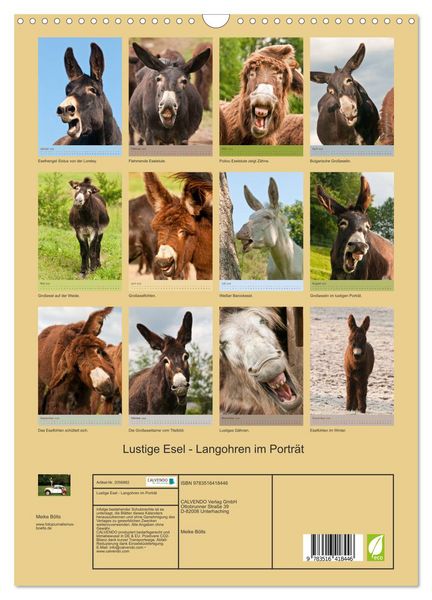 Produktbild: Lustige Esel - Langohren im Portr&auml;t (Wandkalender 2026 DIN A3 hoch), CALVENDO Monatskalender