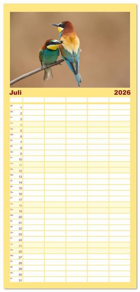 Produktbild: Familienplaner 2026 - Bunte Flieger mit 5 Spalten (Wandkalender, 21 x 45 cm) CALVENDO